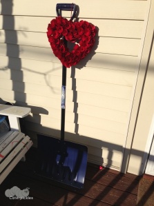 In other news, look what I found on my porch on Monday. Most romantic gift ever? (Photo: Shala Howell)