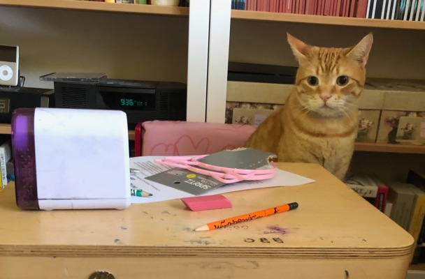 Orange cat sits at my daughter's desk. He's staring at it with one ear twitched.